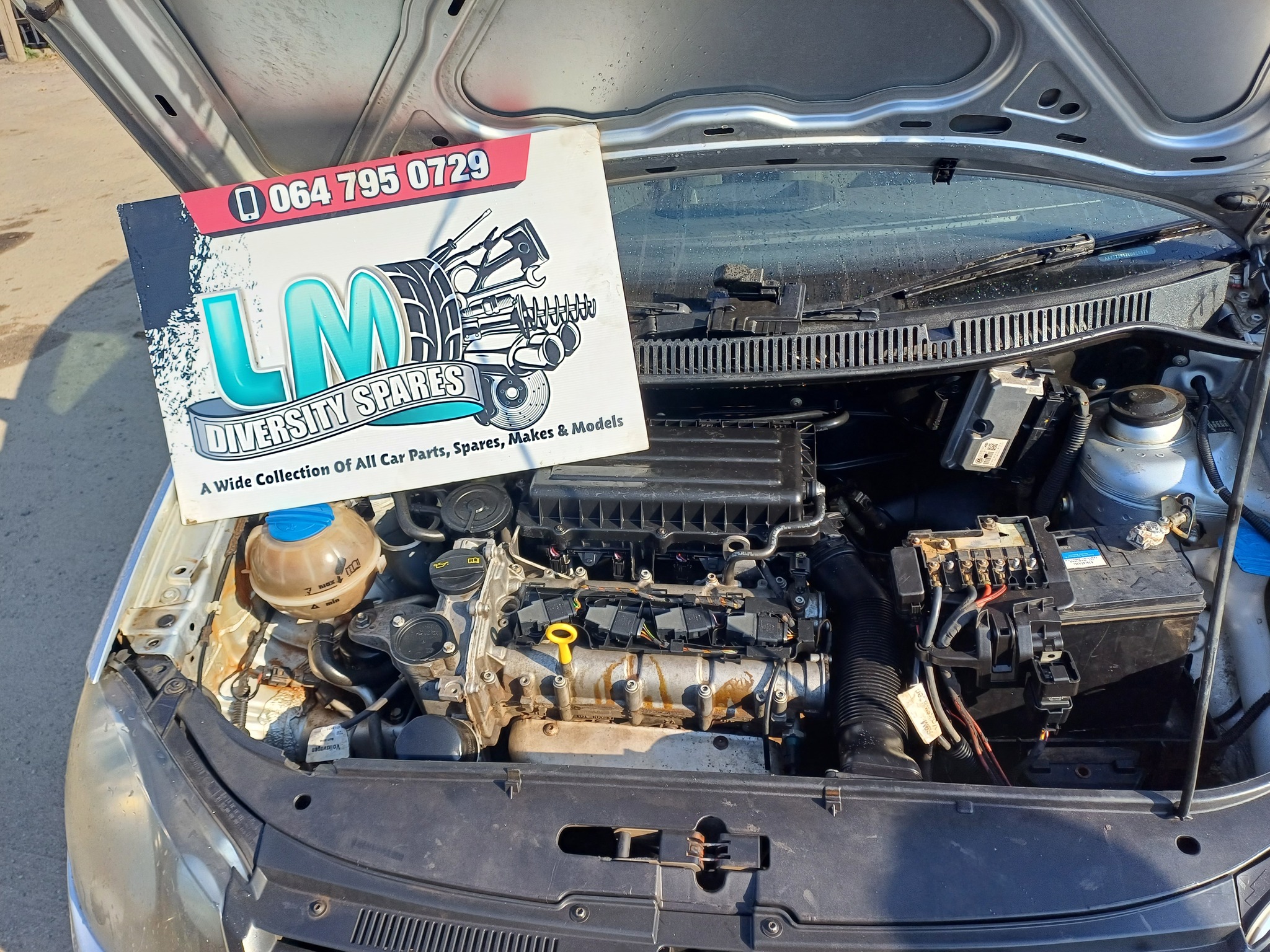 LM Diversity Spares image 1