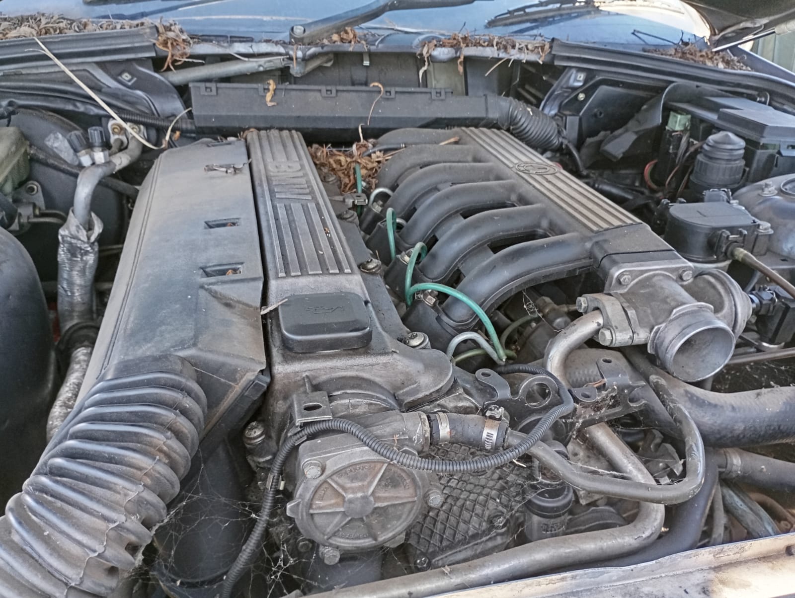 1998 BMW 325TDS view 8