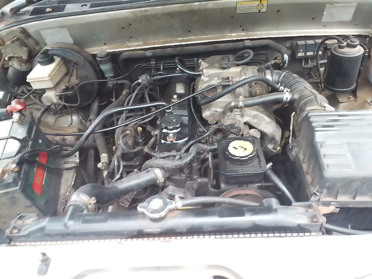 2008 GWM Steed - Photo 2