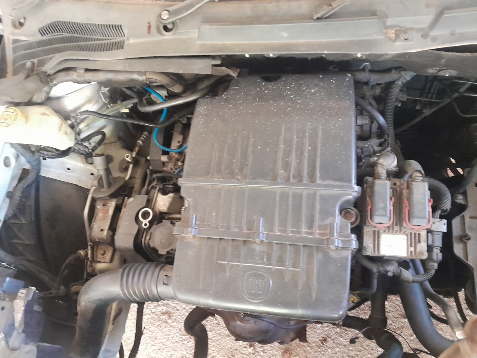 2014 Fiat Punto - Photo 2