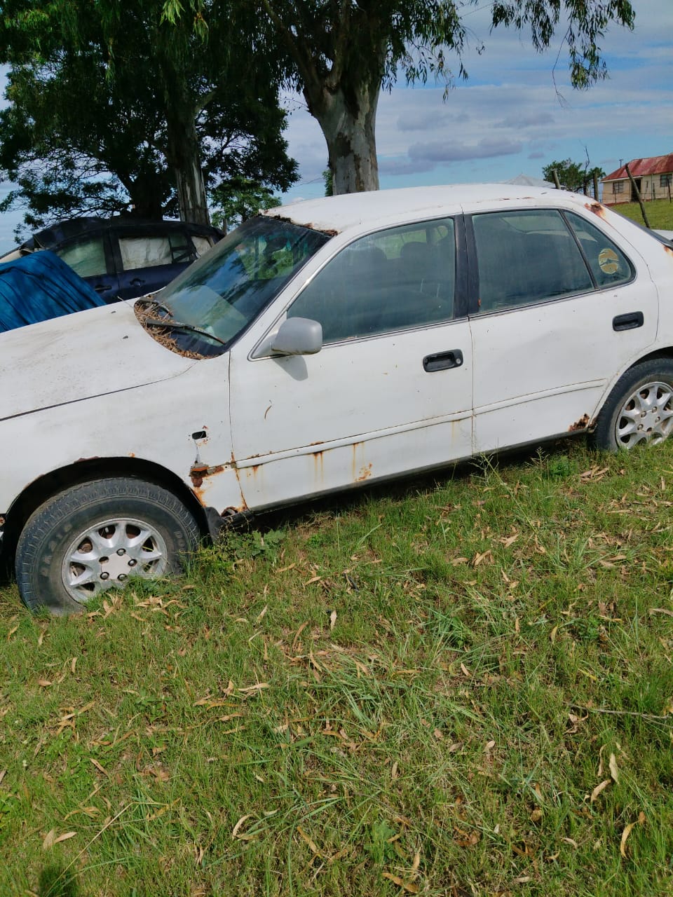 1996 Toyota Camry - Photo 2