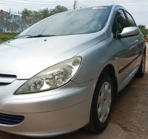 2003 Peugeot 307 - Photo 3