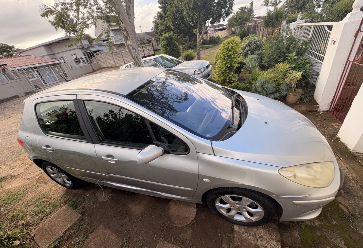 2007 Peugeot 307 - Photo 1