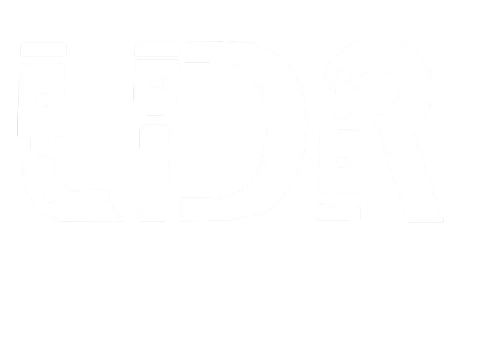 LDR Engines & Gearboxes Pretoria logo