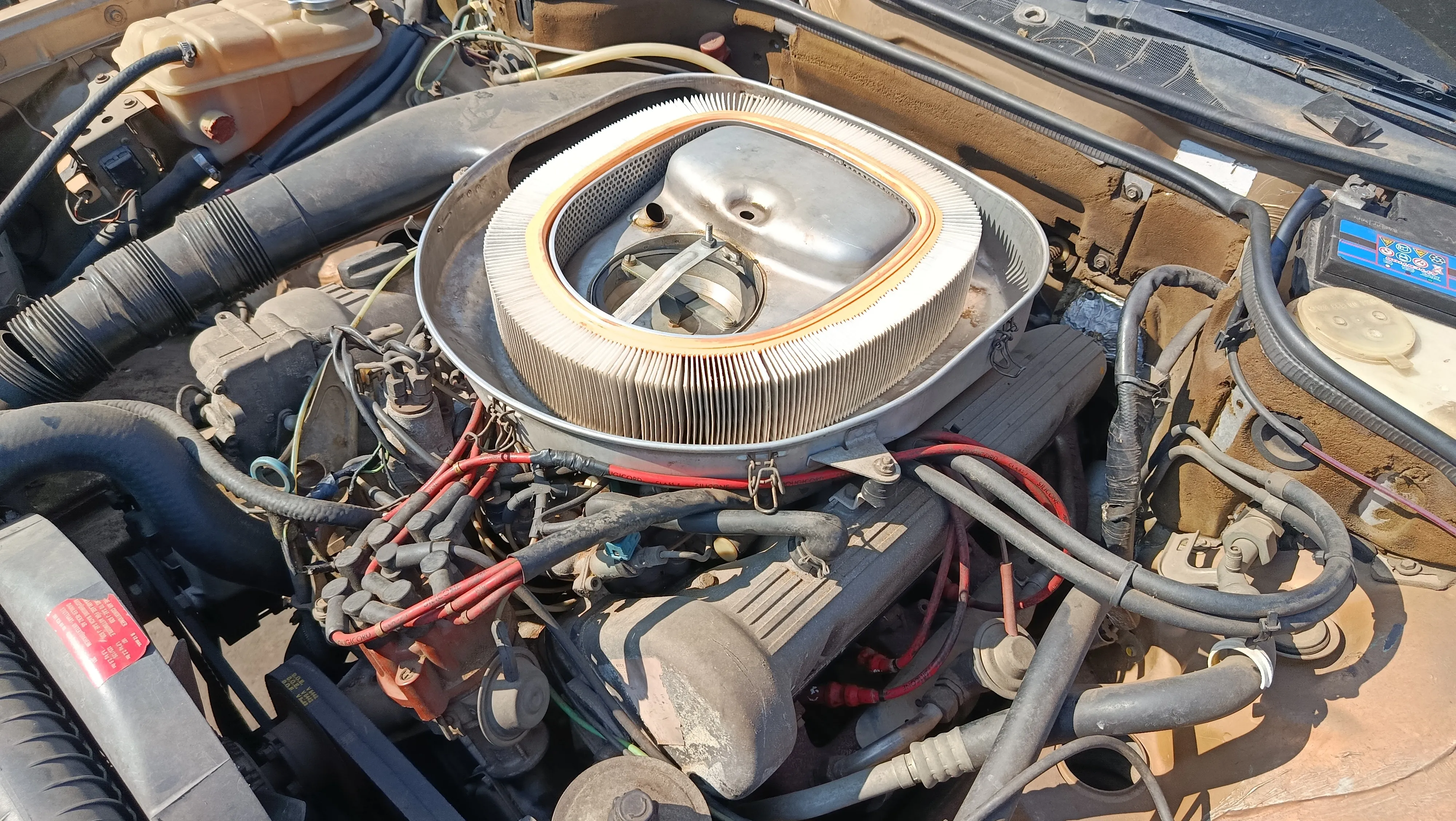 1982 Mercedes-Benz S-Class M116 view 6