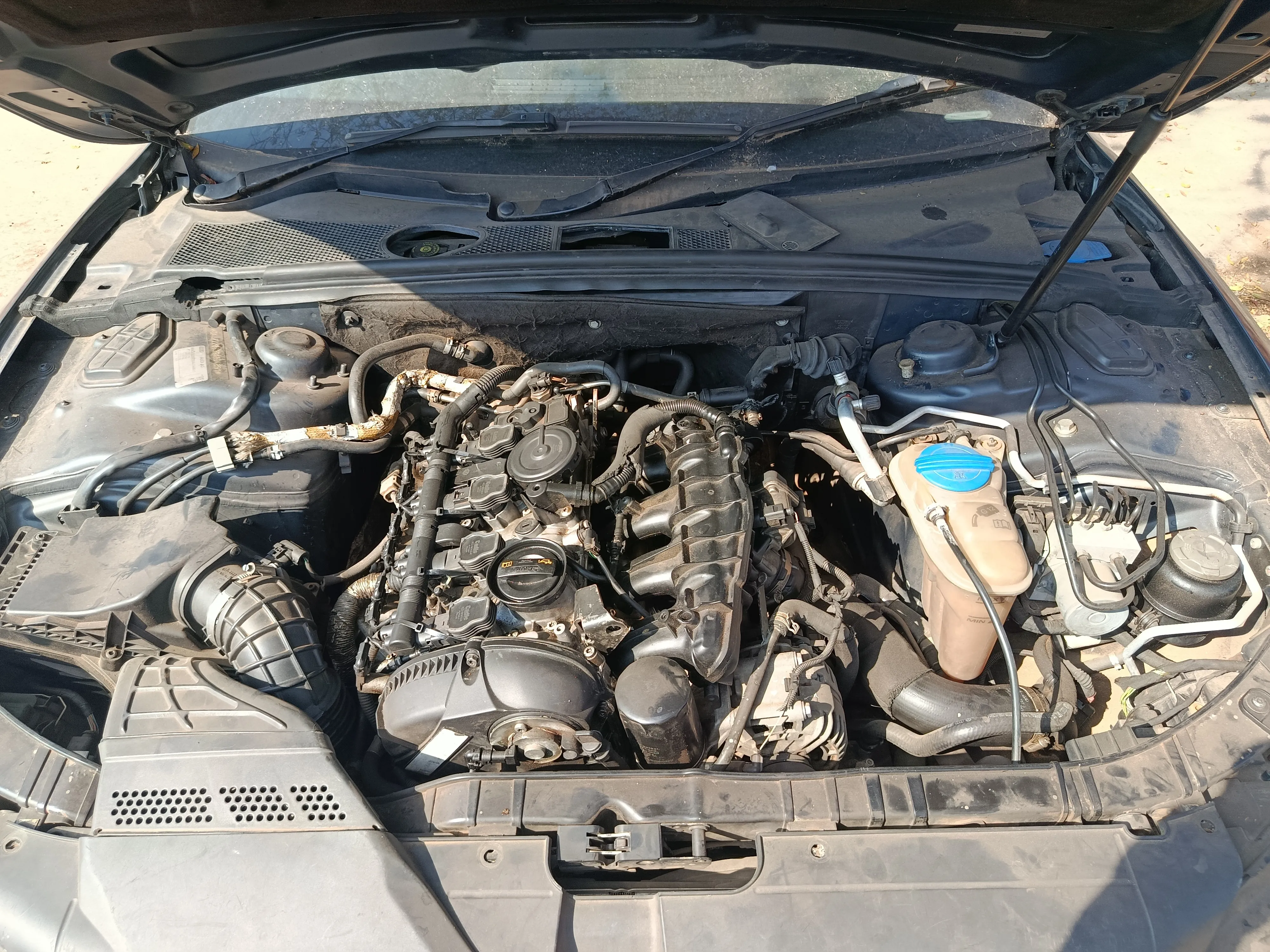 2009 Audi A5 CDN view 8