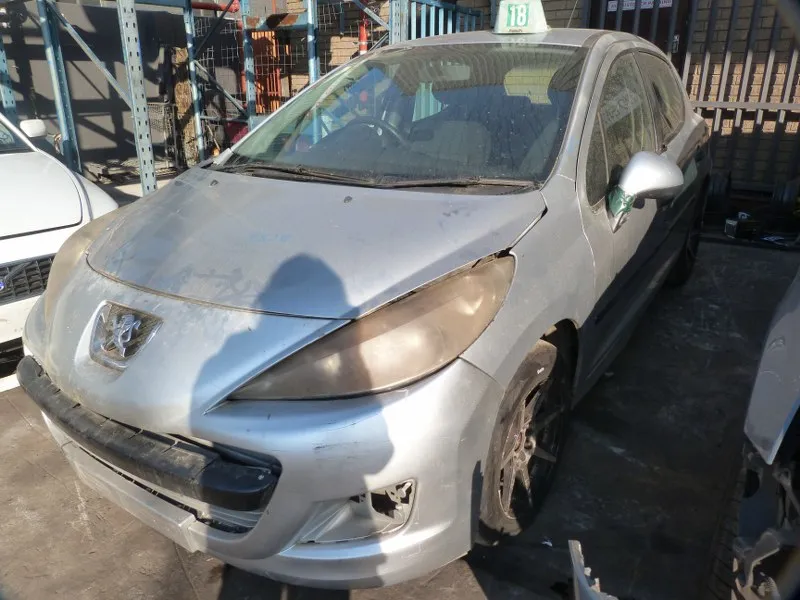 2010 Peugeot 207 view 2
