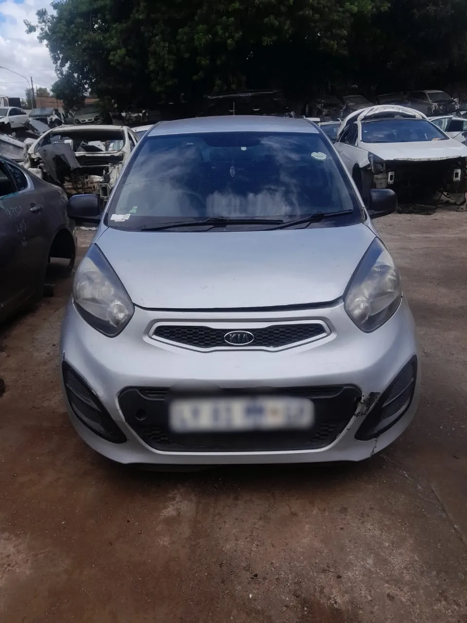 2014 Kia Picanto  view 5
