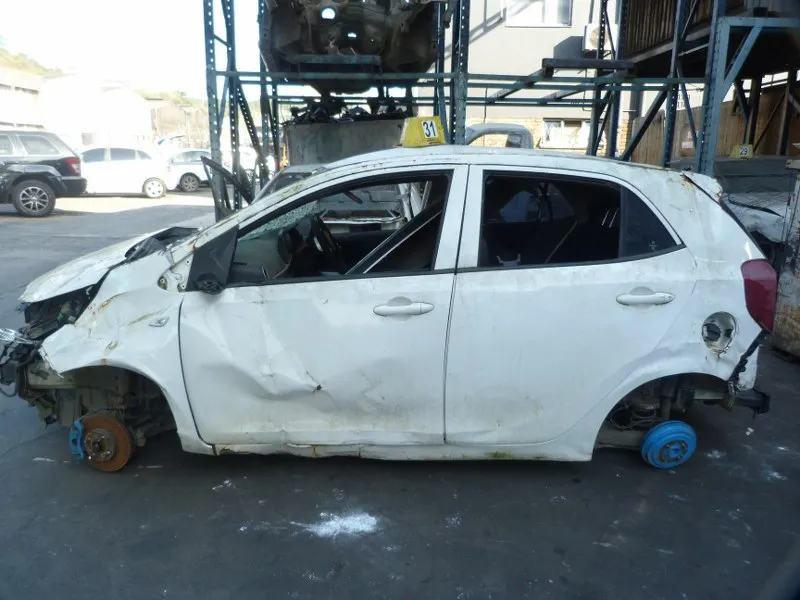 2018 Kia Picanto view 4