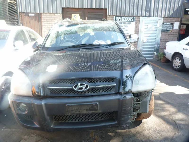 2006 Hyundai Tucson G4GC view 2