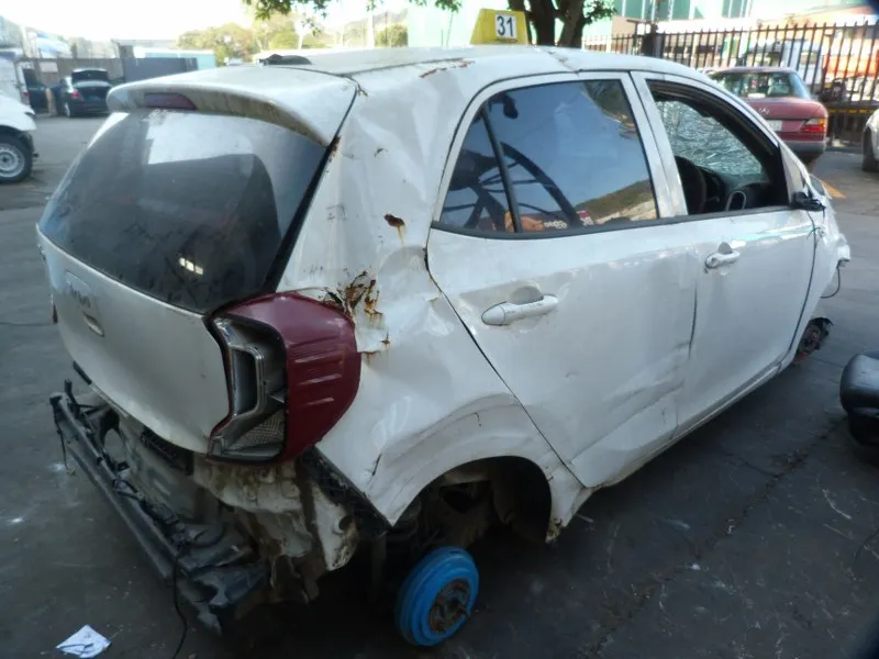 2018 Kia Picanto view 6