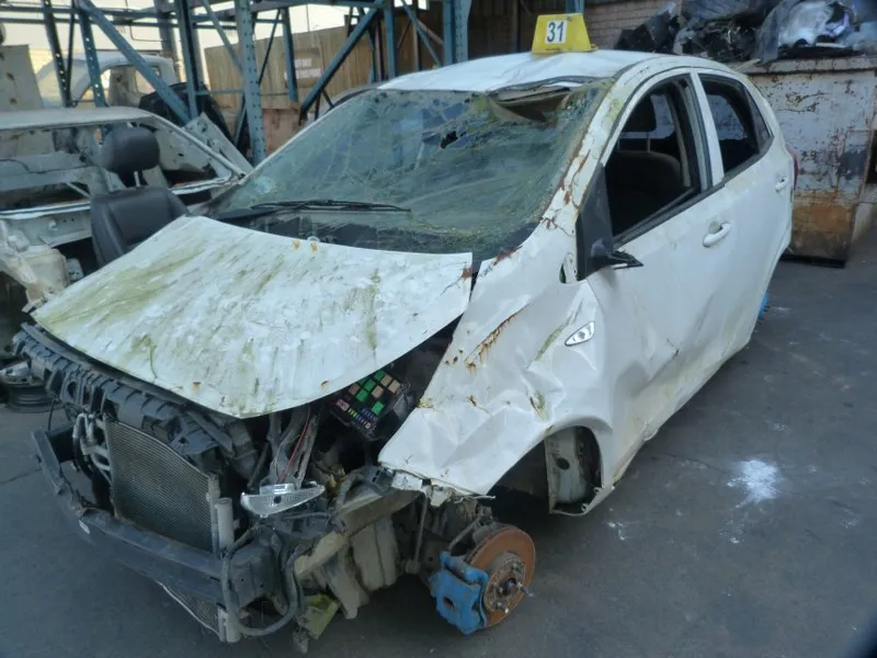 2018 Kia Picanto view 3