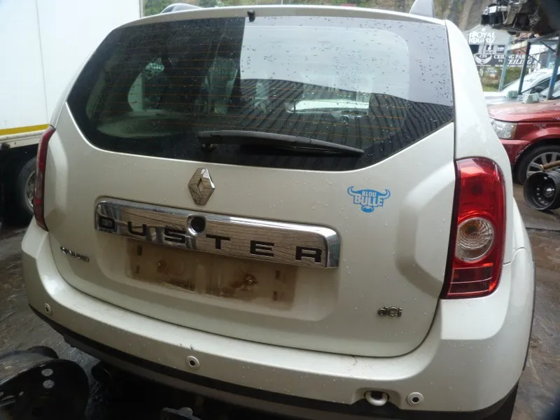 2014 Renault Duster view 5