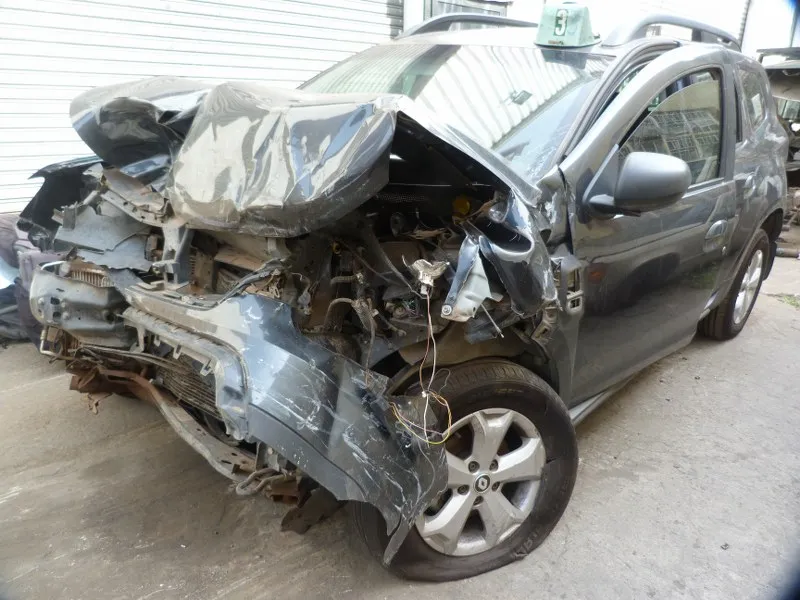 2019 Renault Duster  view 3