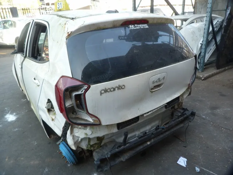 2018 Kia Picanto view 5