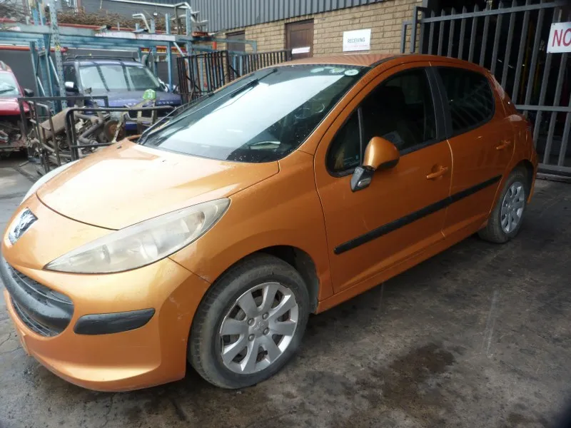 2007 Peugeot 207 10FE view 5