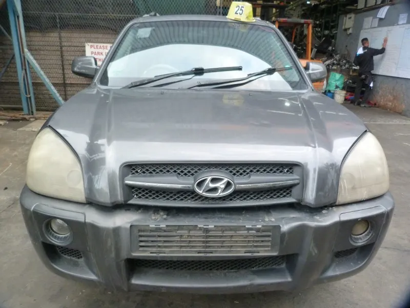 2007 Hyundai Tucson G4GC view 2