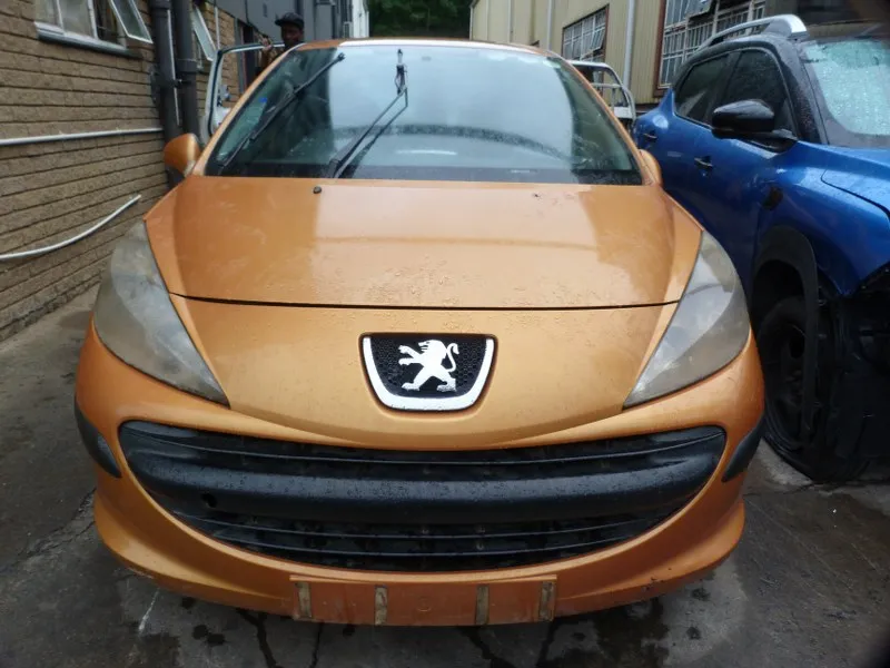 2007 Peugeot 207 10FE view 2
