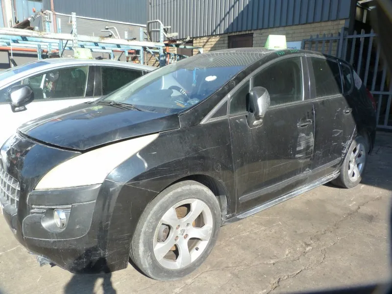 2010 Peugeot 3008 10FJ view 4